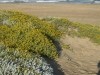 dscn3034